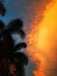 Low angle view of silhouette palm tree against romantic sky