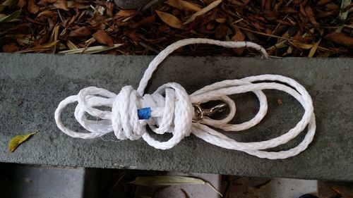 Close-up view of rope