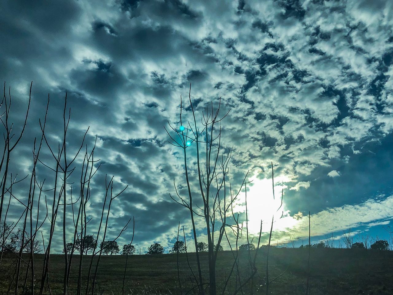 LOW ANGLE VIEW OF FIELD AGAINST SKY