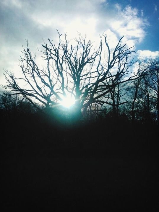 bare tree, sun, silhouette, sky, tree, tranquility, tranquil scene, branch, scenics, sunlight, sunbeam, beauty in nature, nature, cloud - sky, sunset, low angle view, lens flare, landscape, cloud, back lit