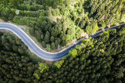 High angle view of road amidst trees in forest