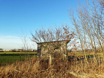 Old ruin on field against clear blue sky