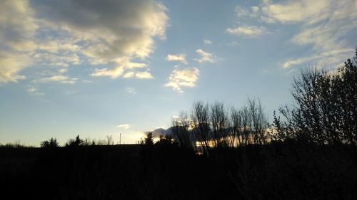 Silhouette trees against sky during sunset