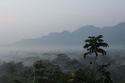 Scenic view of sea against sky during foggy weather