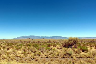 Scenic view of landscape against clear sky