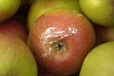 Close-up of apples