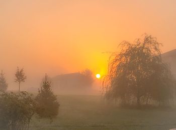 Trees on landscape against orange sky