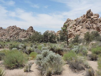 Scenic view of desert against sky