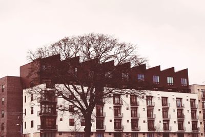 Low angle view of building