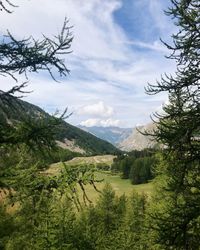 Scenic view of landscape against sky