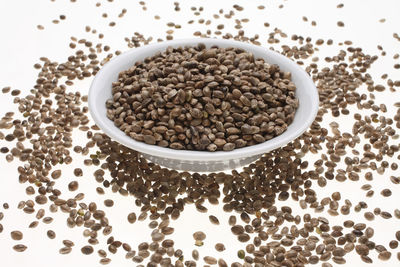High angle view of seeds in bowl over white background