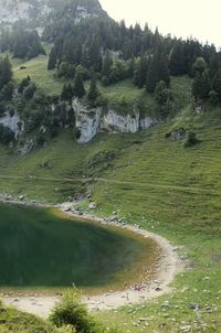 Scenic view of waterfall