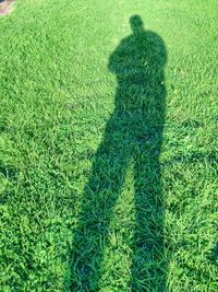 Shadow of people on grassy field