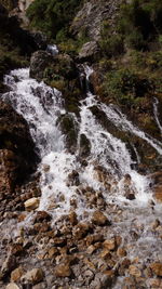 Scenic view of waterfall in forest