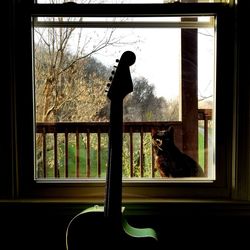 View of horse looking through window