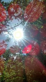 Low angle view of trees