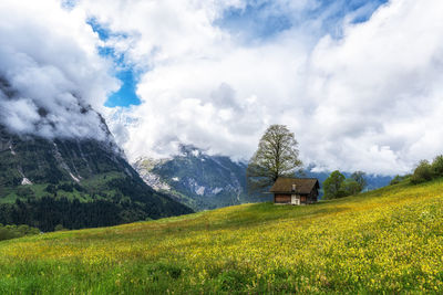 landscape