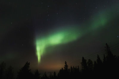 Low angle view of silhouette trees against sky at night