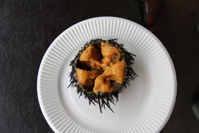 Close-up of food served in plate