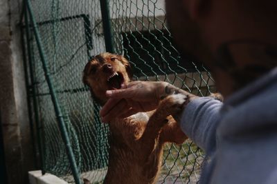 Man with dog