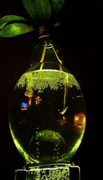 Close-up of light bulb