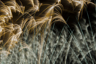 Spectacular fireworks show, color light sparks over black background.