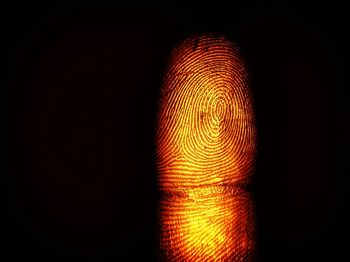 fingerprint