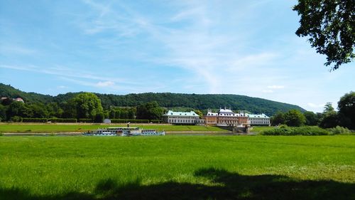 Scenic view of grassy landscape during sunny day