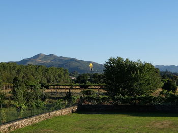 Scenic view of grassy field against blue sky