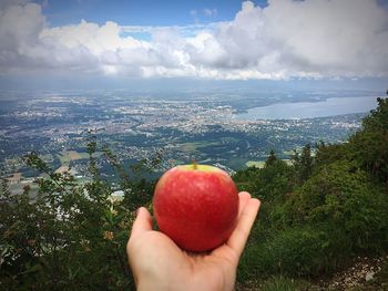 Cropped image of hand holding strawberry against sky