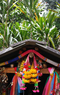 High section of offerings against plants