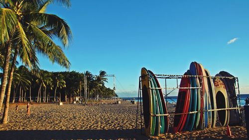 Palm trees on beach against clear blue sky