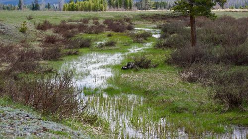 Scenic view of lake