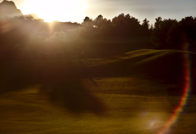 Silhouette trees on field against sky during sunset