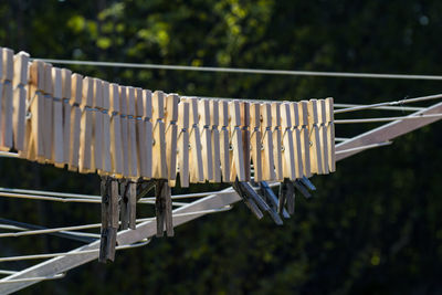 Clothes drying on rope against trees