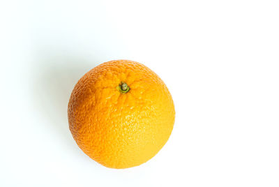 Close-up of orange against white background