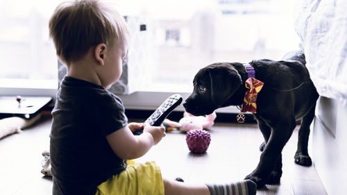 Cute baby boy holding remote control while sitting by dog at home