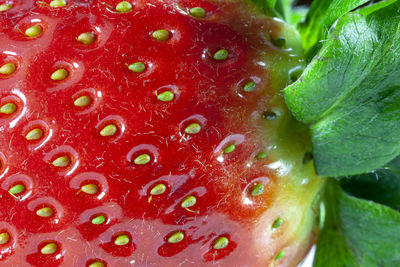 Full frame shot of water drops on fruit