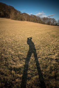 Shadow of person on field against sky