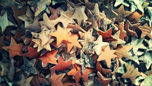 Full frame shot of leaves