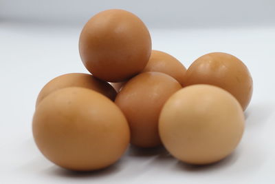 Close-up of eggs against white background