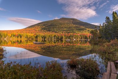 Scenic view of lake by trees against sky