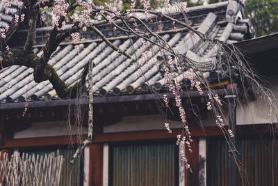 Low angle view of temple