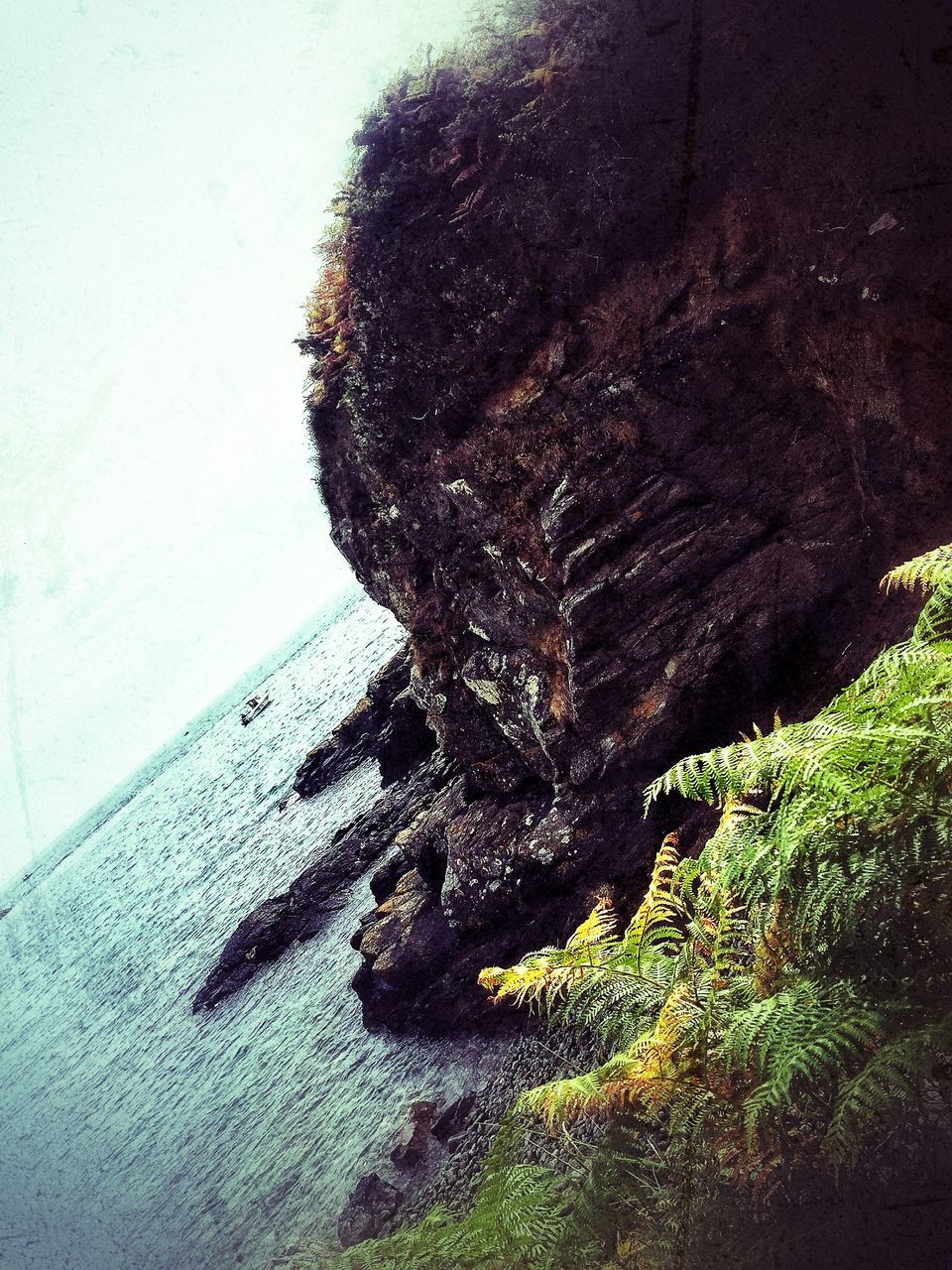 CLOSE-UP OF ROCK FORMATION ON SHORE