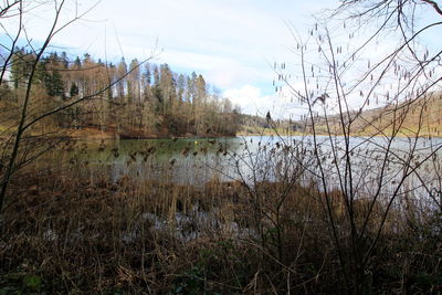 Scenic view of lake against sky