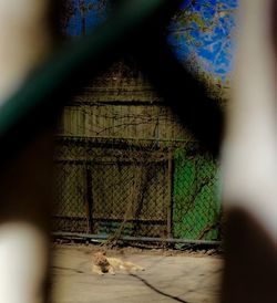 Close-up of chainlink fence