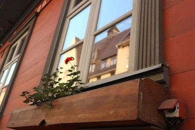 Close-up of bird perching on red building