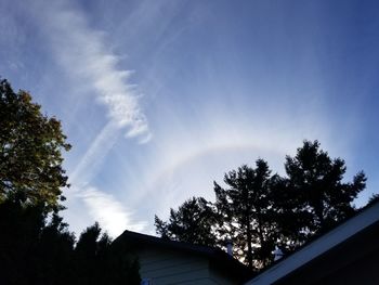 Low angle view of house and trees against sky