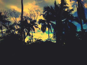 Low angle view of silhouette trees against sky during sunset