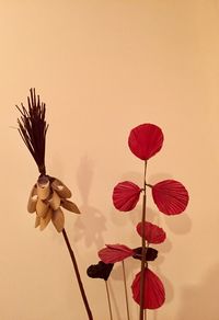 Close-up of flowers over white background